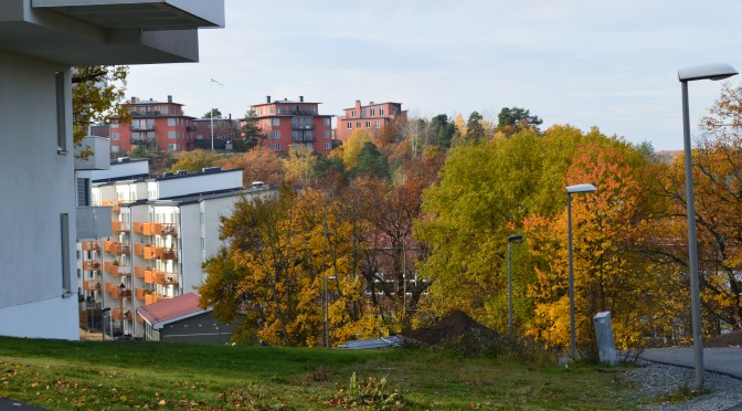 Information från samrådsmötet